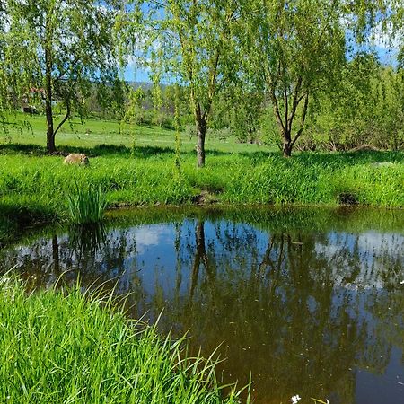 Pensiunea Mara Desesti Экстерьер фото