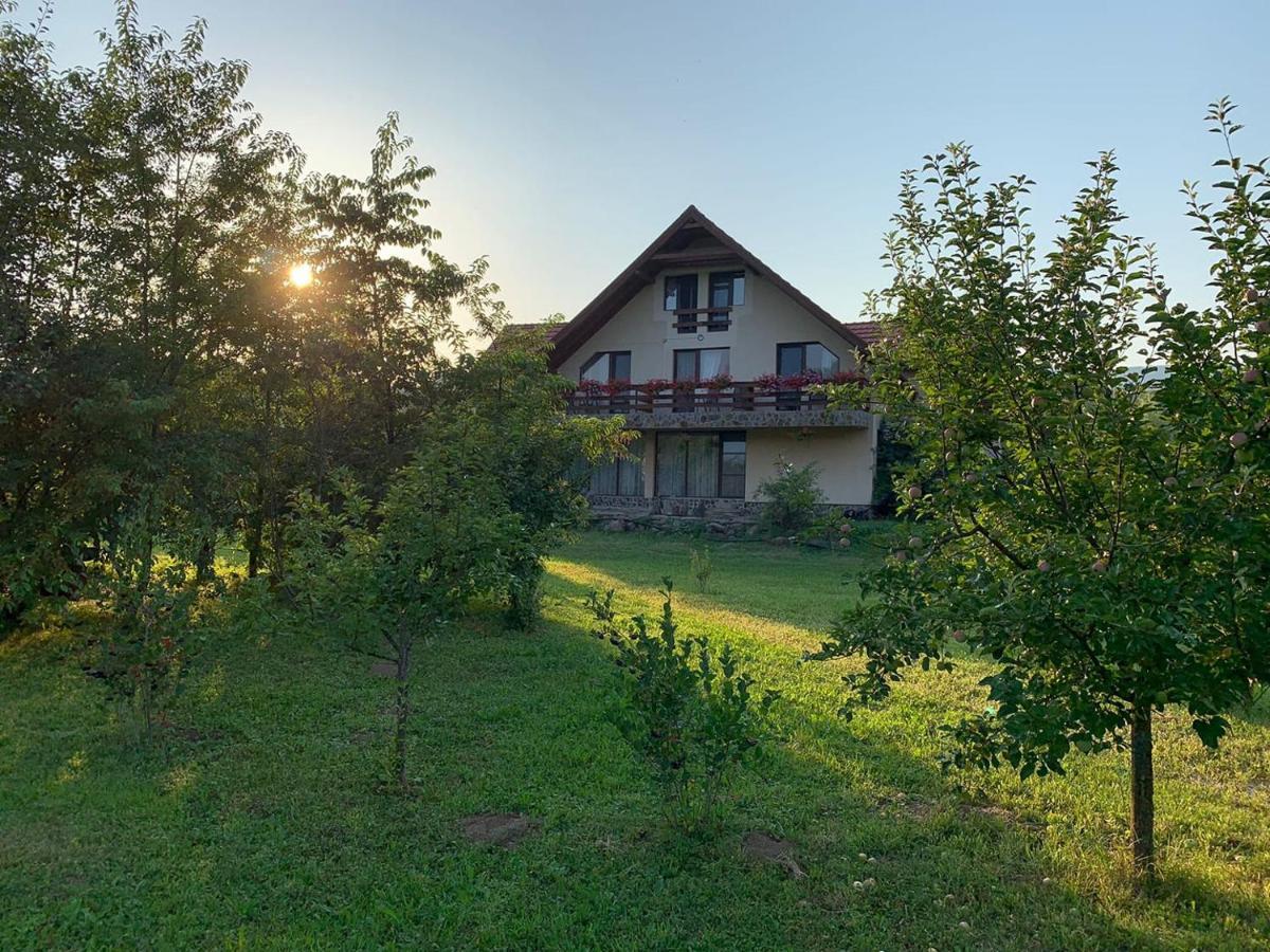 Pensiunea Mara Desesti Экстерьер фото