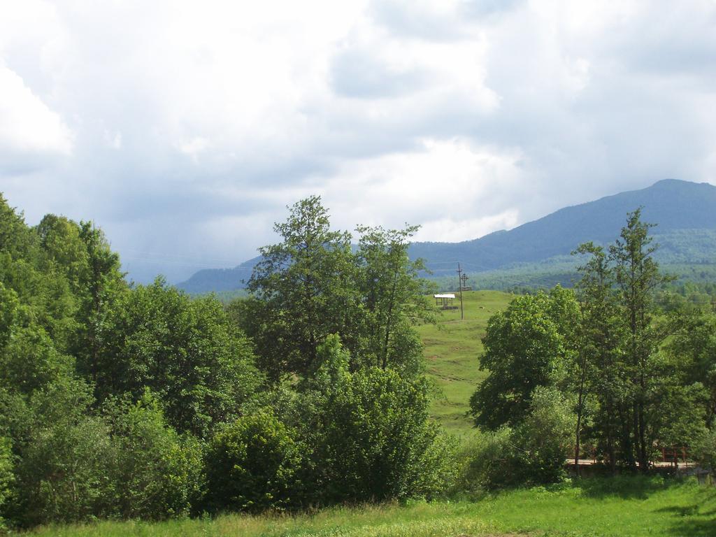 Pensiunea Mara Desesti Экстерьер фото