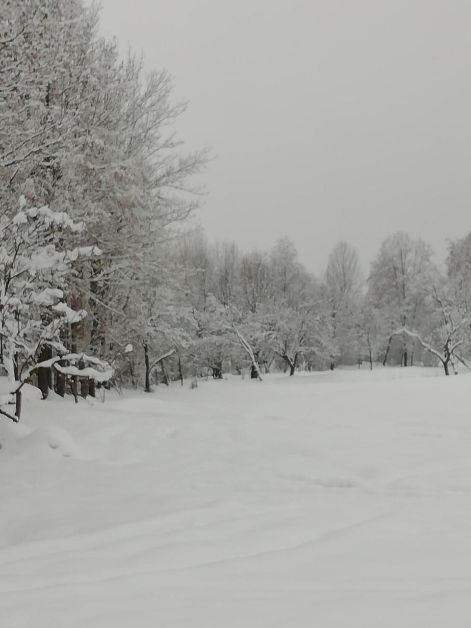 Pensiunea Mara Desesti Экстерьер фото