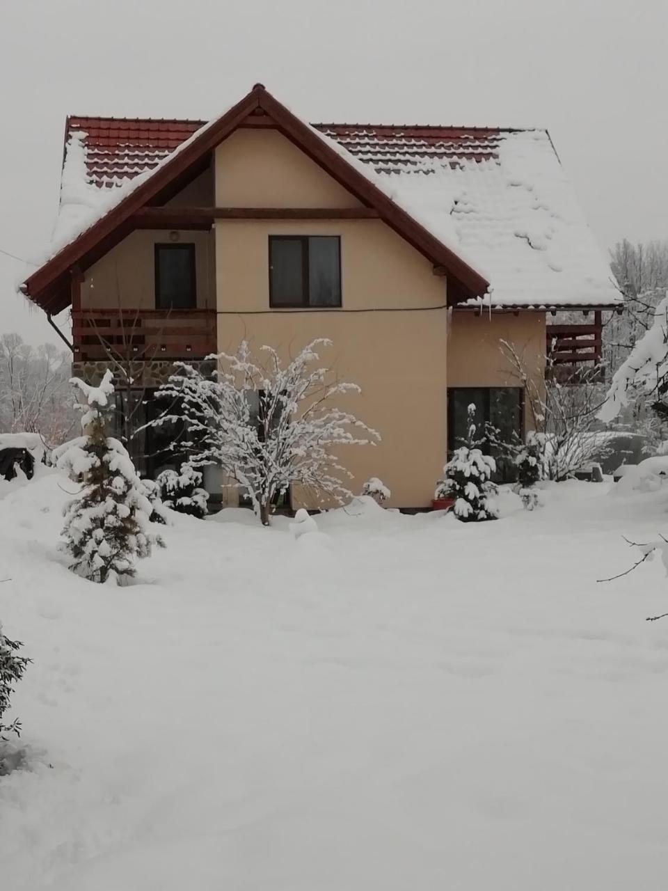 Pensiunea Mara Desesti Экстерьер фото